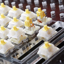 Kelowna 28-Switch Pro Keyboard Lubrication Station